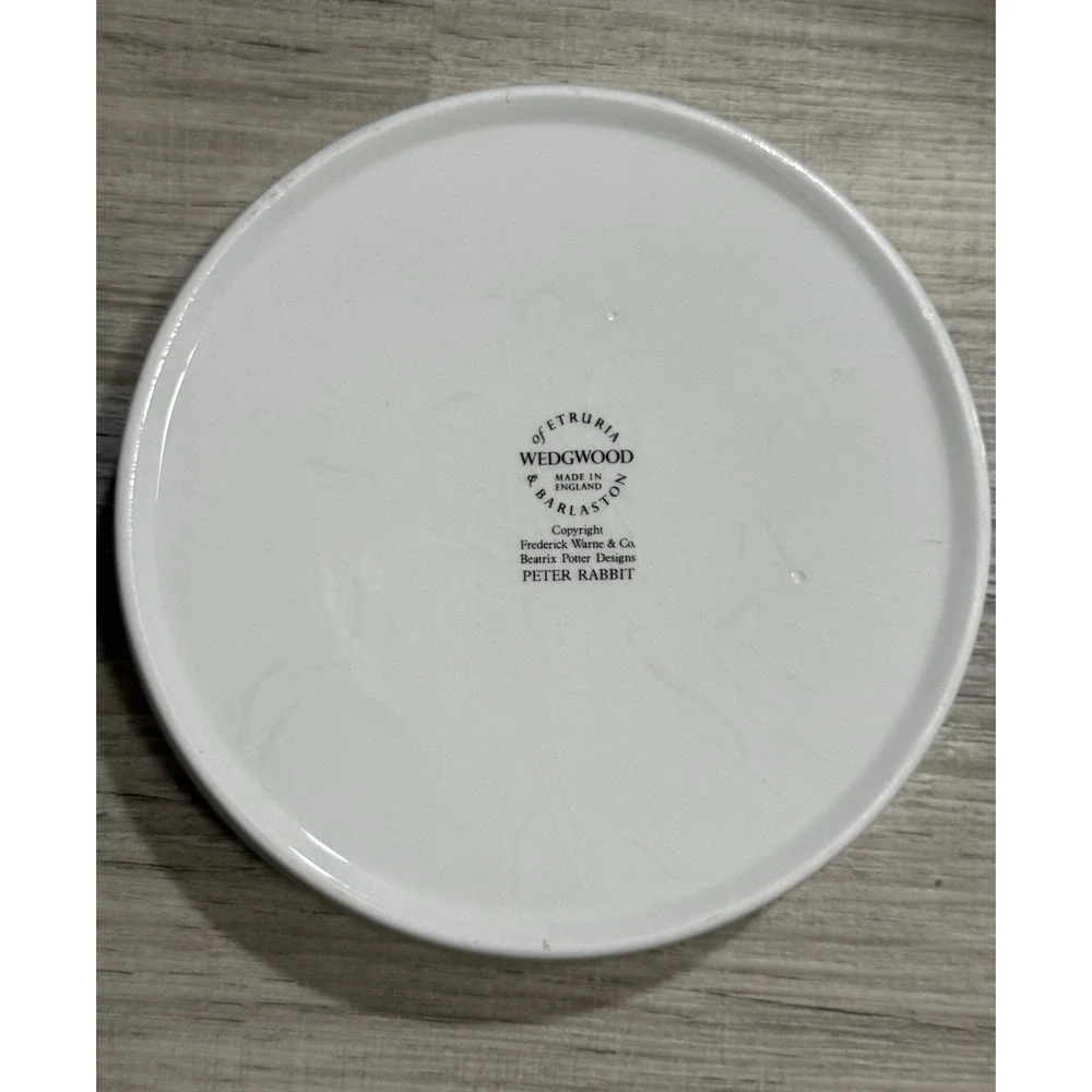 Set of 2 Wedgwood Peter Rabbit Plate 8